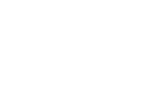 Major Auto Logo